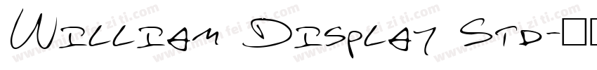 William Display Std字体转换